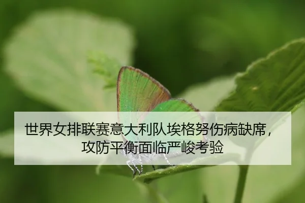 shi-jie-nv-pai-lian-sai-yi-da-li-dui-ai-ge-nu-shang-bing-que-xi-gong-fang-ping-heng-mian-lin-yan-jun-kao-yan-3-646.jpg