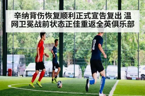 辛纳背伤恢复顺利正式宣告复出 温网卫冕战前状态正佳重返全英俱乐部