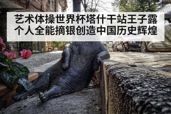 艺术体操世界杯塔什干站王子露个人全能摘银创造中国历史辉煌